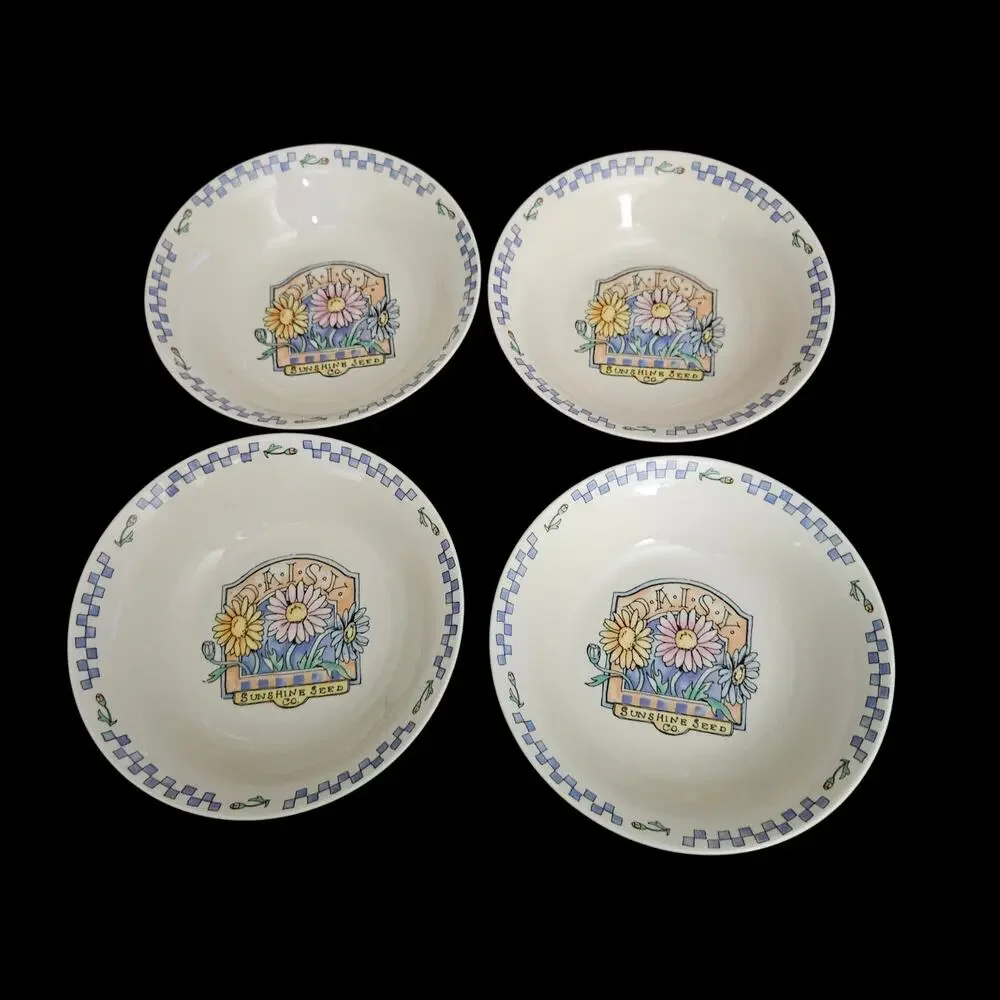 Sunshine Seed Company Floral Stoneware Soup Cereal Bowls Set of 4 China